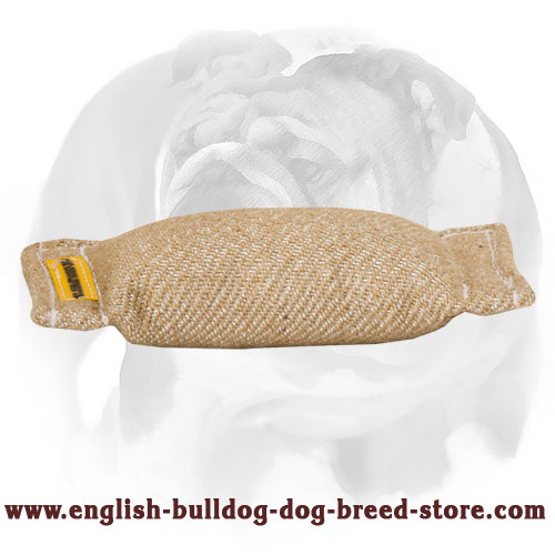 English Bulldog Jute Puppy Bite Tug (Pillow) without Handles