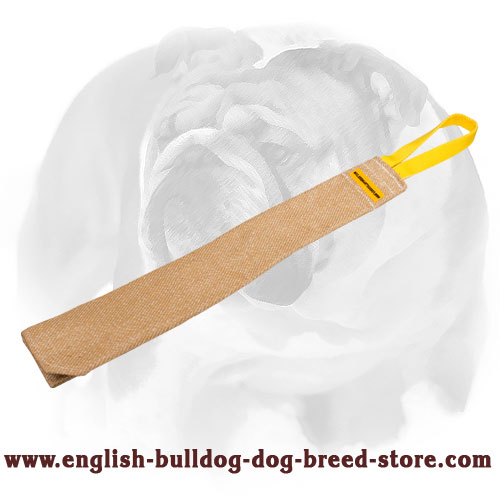 English Bulldog Jute Bite Rag for Prey Drive Training Puppies and Young Dogs