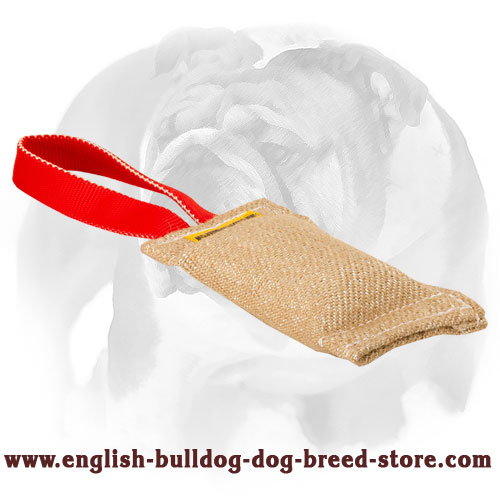 English Bulldog Puppy Bite Tug Made of Jute