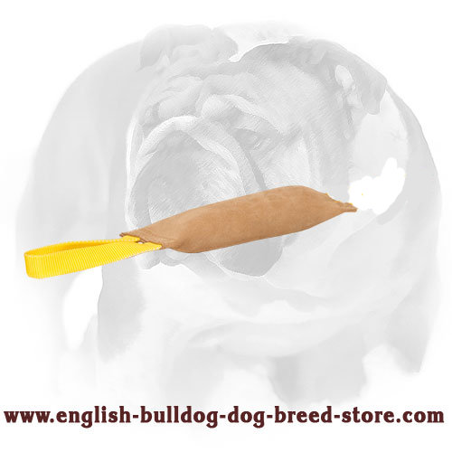 English Bulldog Leather Bite Tug with 1 Handle