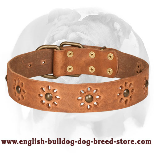 'Spring Mood' English Bulldog Stylish Leather Dog Collar