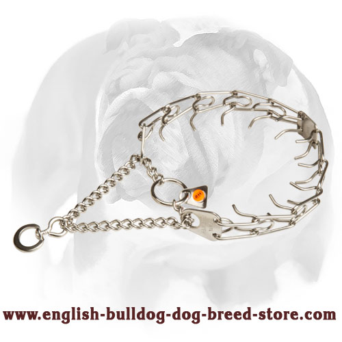 English Bulldog Dog Pinch Prong Collar Made of High-Quality Stainless Steel