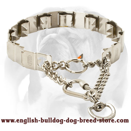 English Bulldog Dog Pinch Prong Collar Made of High-Quality Stainless Steel