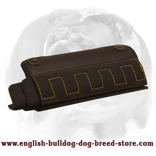 English Bulldog Durable Puppy and Young Dog Bite X-Developer