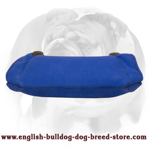 English Bulldog French Linen Bite Builder for Puppies