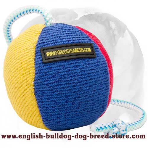 English Bulldog Bite Ball for Games and Other Activities