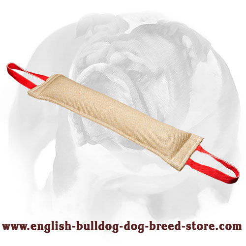 English Bulldog Huge Jute Bite Tug for Training - Click Image to Close