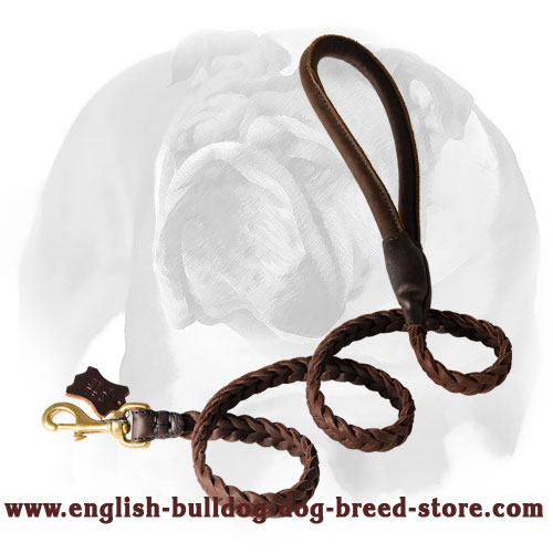English Bulldog Exquisite Design Braided Leather Dog Leash