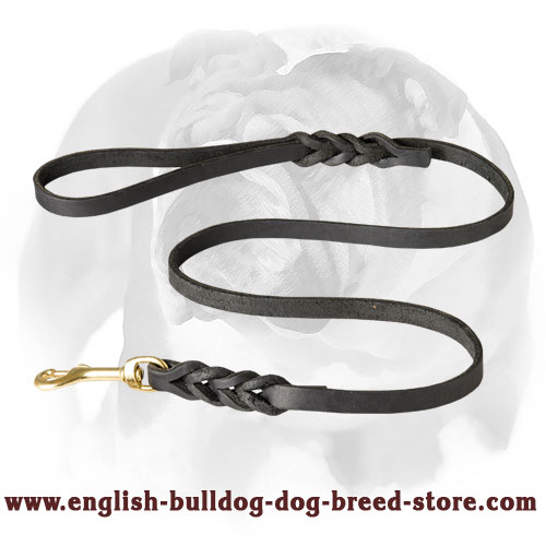 English Bulldog Braided Leather Dog Leash 1/2 inch Wide