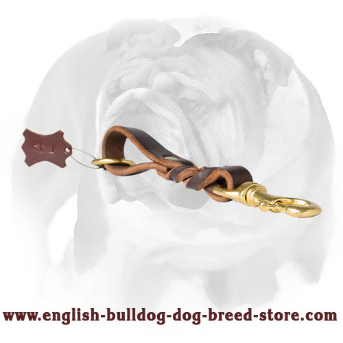 English Bulldog Trendy Short Leather Dog Pull Tab Leash