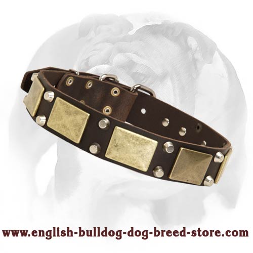 English Bulldog Top Notch Leather Dog Collar with Vintage Plates and Studs