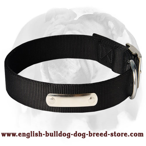 2 Ply Nylon Dog Collar w/h name tag for English Bulldog breed