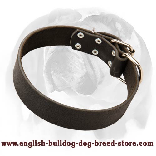Neat Leather Dog Collar for pleasant wearing by English Bulldog breed
