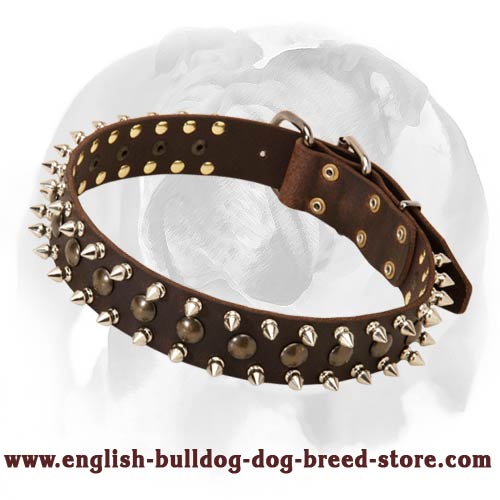 Edgy sales dog collars