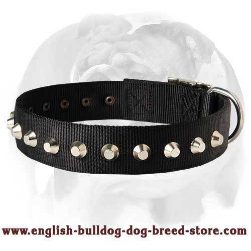 City style Nylon Dog Collar With Nickel Pyramids for English Bulldogs