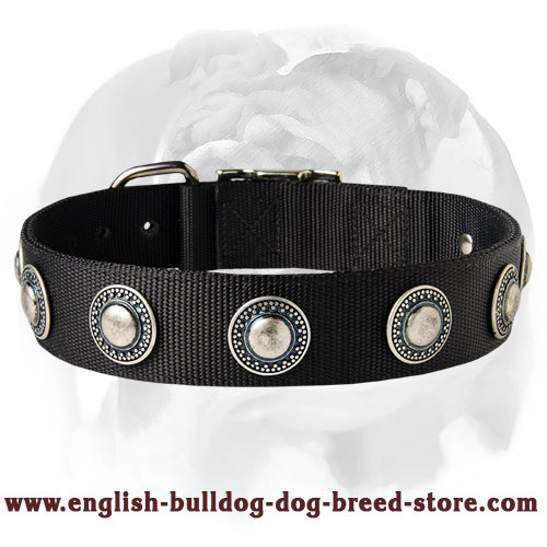 Incredible Doggy's Look with Nylon Dog Collar Decorated with Conchos