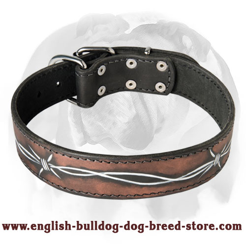 Modern and Trendy leather English Bulldog Collar!