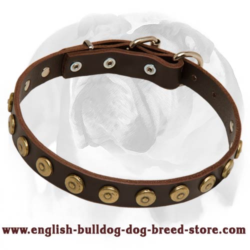 Tremendous Decorated Leather Dog Collar for English Bulldog breed