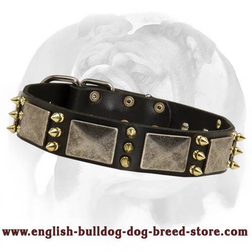Amazing adorned leather dog collar created for English Bulldog breed