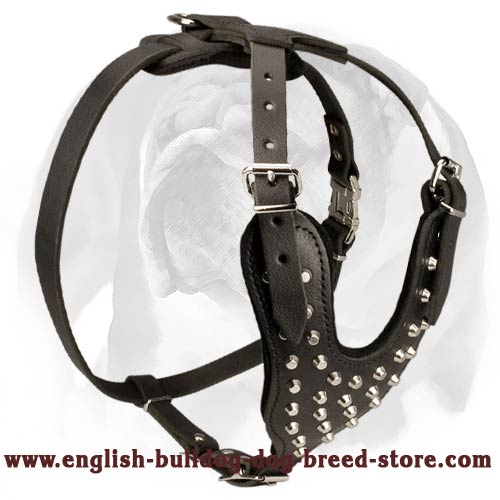 Neatly Designed English Bulldog Leather Dog Harness with Silver-Like Pyramids