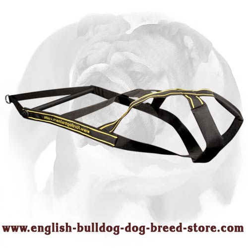 English Bulldog Exclusive Nylon Harness for Pulling and Other Physcial Activities