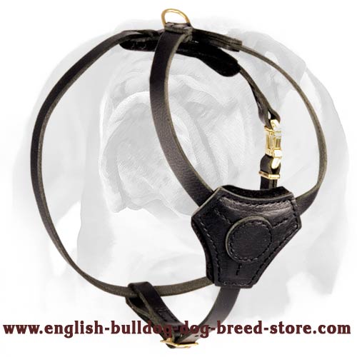 Small Exquisite Leather Dog Harness for English Bulldog puppy