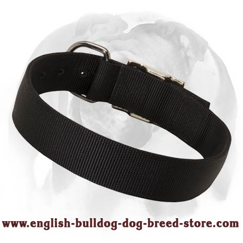 Deluxe Nylon Dog Collar for English Bulldog breed