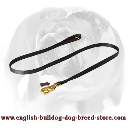 English Bulldog Extra Strong Nylon Dog Leash