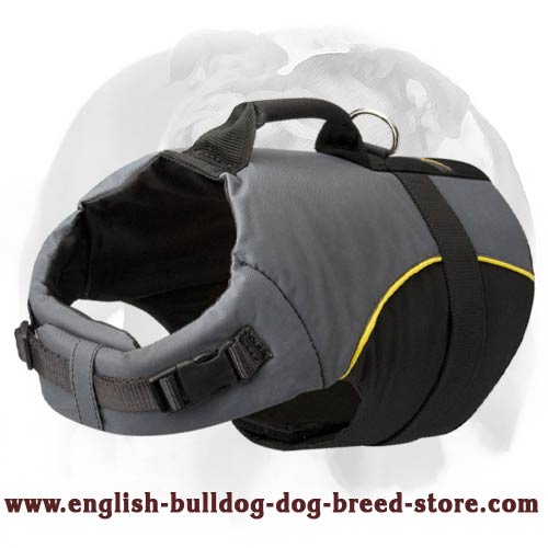 Winter Warming and Dog Rehabilitating Nylon Vest Harness for English Bulldog Breed