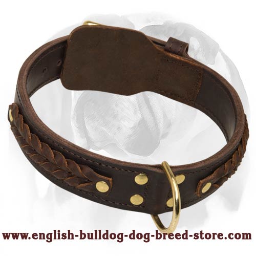 Hand-braided Leather Dog Collar for Engish Bulldog breed