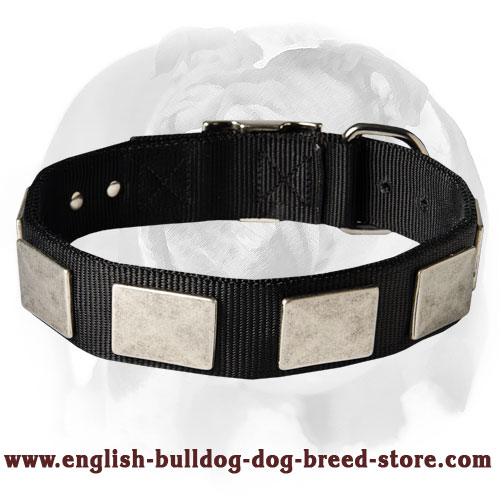 Nylon Dog Collar With Large Vintage Nickel Plates for Your English Bulldog breed