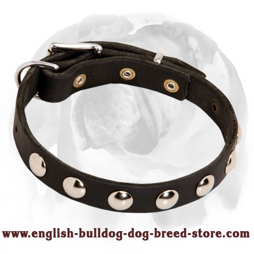 Puppy Collar Decorated With Half-Ball Studs for Gorgeous Look of your Doggie