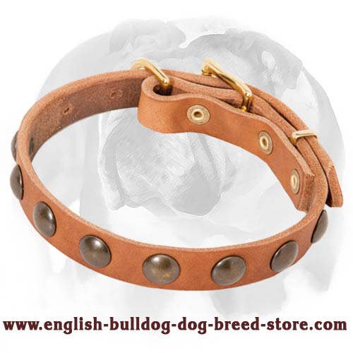 Soft Leather English Bulldog Collar For Puppies