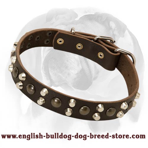 English Bulldog exclusively decorated leather collar
