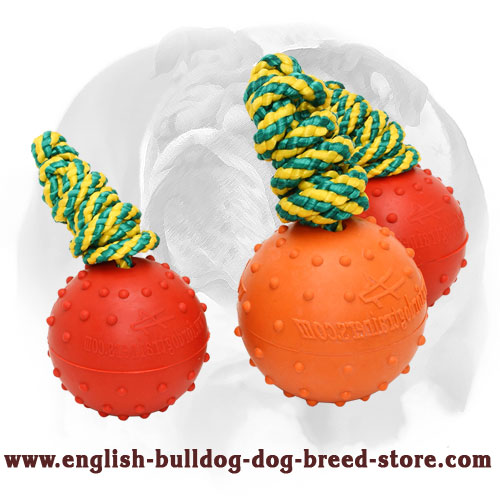 English Bulldog Durable Rubber Water Ball for Training