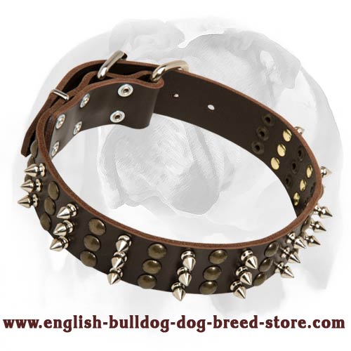 English Bulldog masterly decorated leather collar