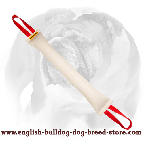 English Bulldog Long Bite Tug for Training Adult Dogs