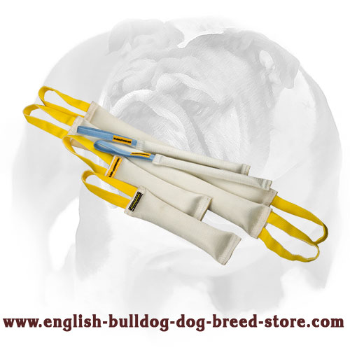 English Bulldog Training Set of Fire Hose Bite Tugs - Click Image to Close