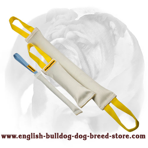 Fire Hose Training Set of Bite Tugs for English Bulldog