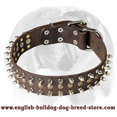 English Bulldog Leather Dog Collar With Spikes and Studs