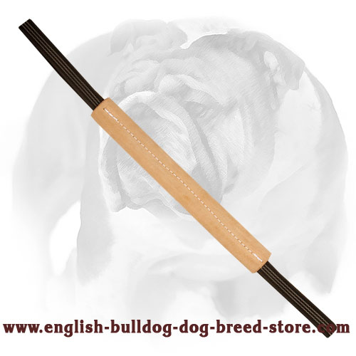 English Bulldog Leather Bite Tug for Training Young and Adult Dogs