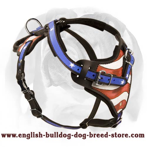 American Flag Leather Dog Harness for English Bulldog