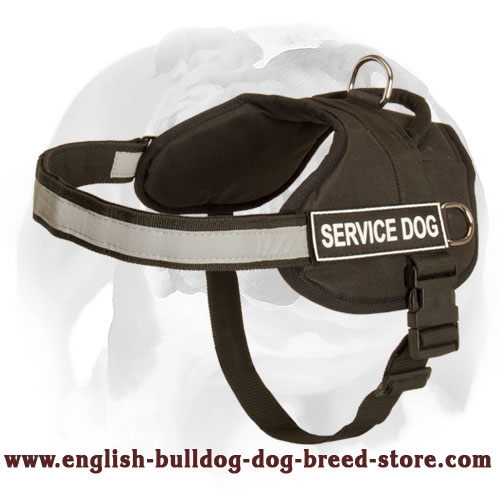Professional English Bulldog Harness For Training And Walking With Reflective Strap