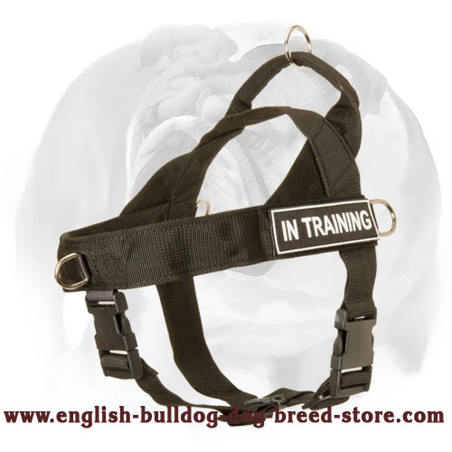 Nylon Harness for English Bulldog With Id Patches
