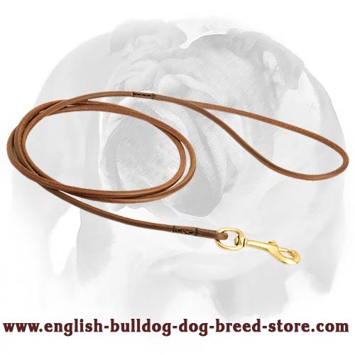 Dog Show Leather Round Leash for English Bulldog Breed