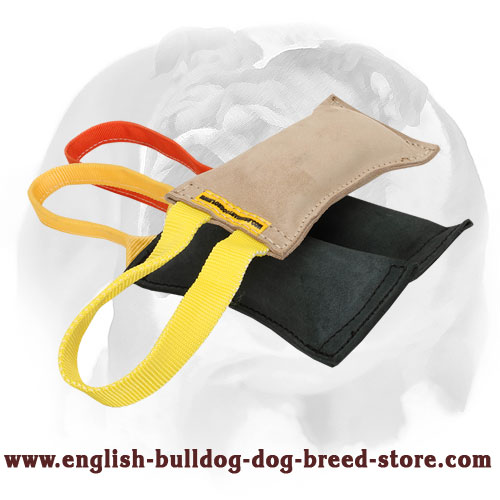 English Bulldog Leather Prey Drive and Retrieve Training Tug