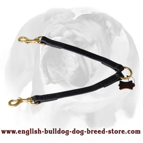 English Bulldog Leather Coupler for 2 Dogs Leash