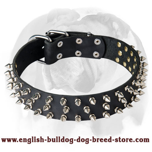 English Bulldog Wide Adjustable Strap Full Grain Leather Dog Collar with Spikes