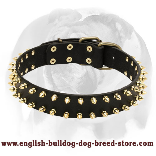 English Bulldog Protective Leather Dog Collar with Brass Spikes