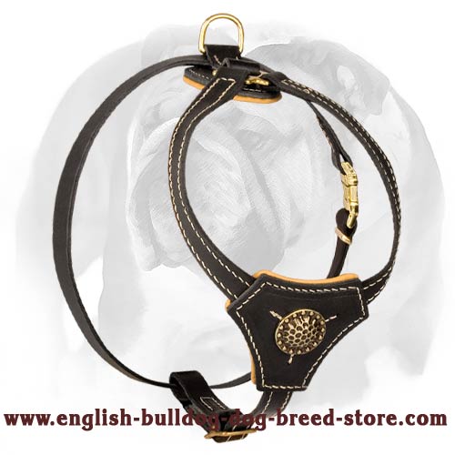 Elegant leather harness for English Bulldog puppies - Click Image to Close